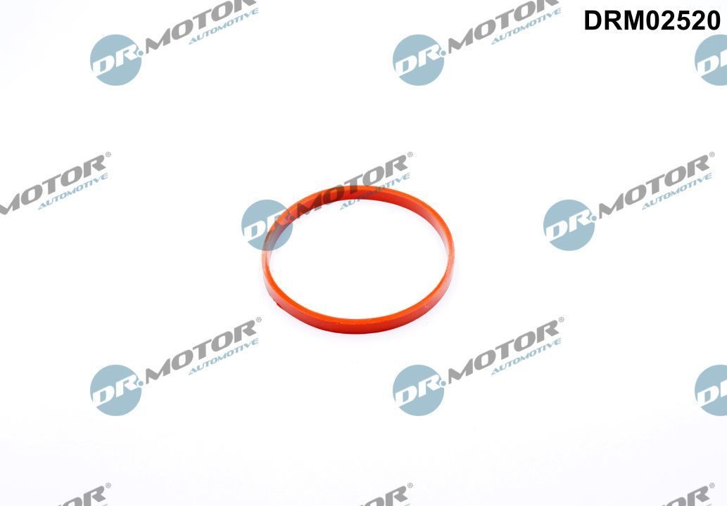 Прокладка дросельної заслонки DR.MOTOR AUTOMOTIVE DRM02520 - zapix