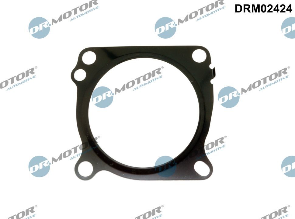 Прокладка дросельної заслонки DR.MOTOR AUTOMOTIVE DRM02424 - zapix