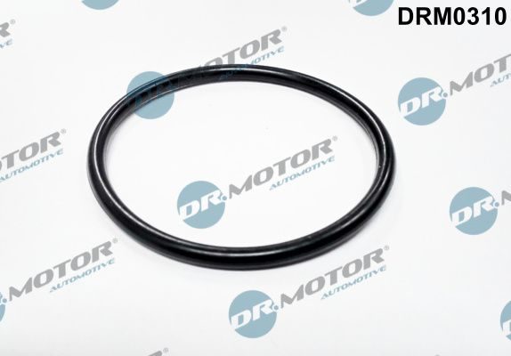 Прокладка дросельної заслонки DR.MOTOR AUTOMOTIVE DRM0310 - zapix