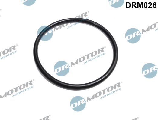 Прокладка дросельної заслонки DR.MOTOR AUTOMOTIVE DRM026 - zapix