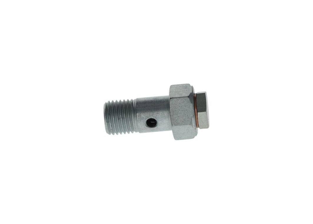 Клапан ПНВТ BOSCH 2417413084 - zapix