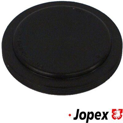 Підшипник КПП JP GROUP 1144000200 - zapix