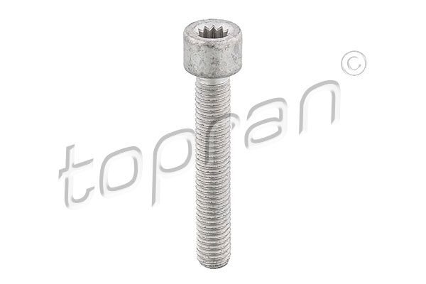 Кріпильні компоненти/приладдя піввісі TOPRAN 104306 - zapix