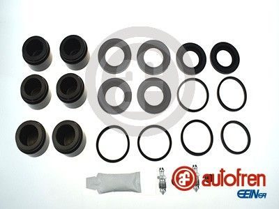 Ремкомплект гальмівного супорта AUTOFREN SEINSA D42431C - zapix