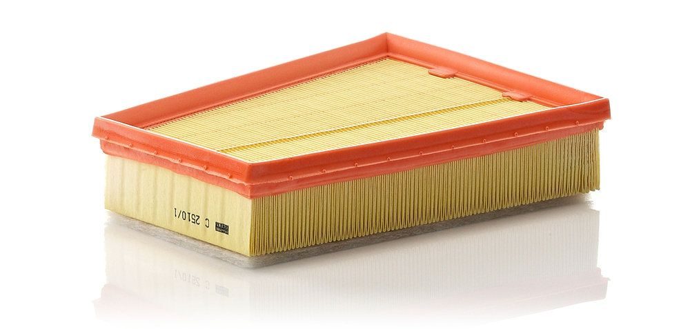 Повітряний фільтр MANN-FILTER C25101 - zapix