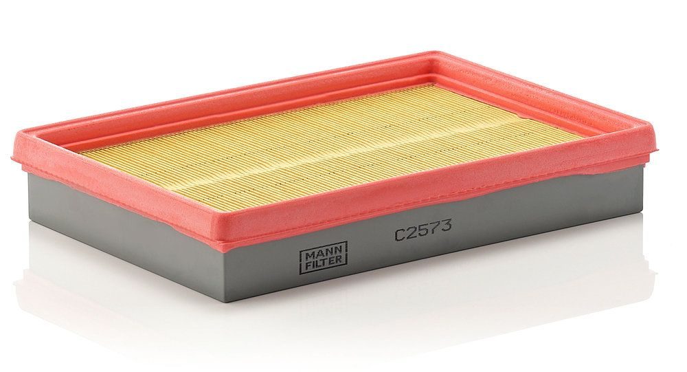 Повітряний фільтр MANN-FILTER C2573 - zapix