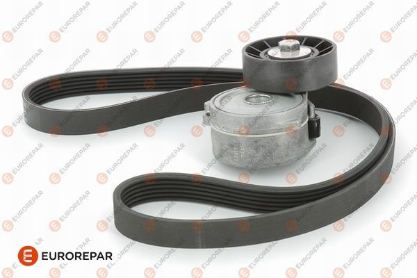 Комплект поліклинових ременів EUROREPAR 1613443880 - zapix