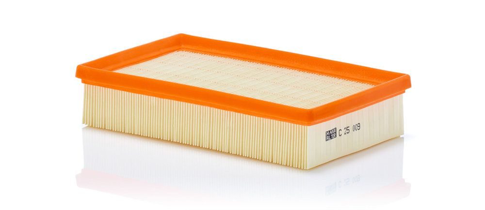 Повітряний фільтр MANN-FILTER C25009 - zapix