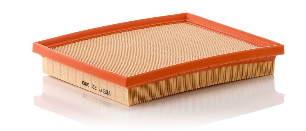Повітряний фільтр MANN-FILTER C22009 - zapix