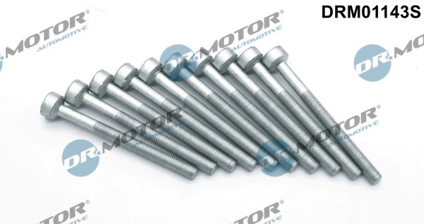 Болт форсунки паливної DR.MOTOR AUTOMOTIVE DRM01143S - zapix