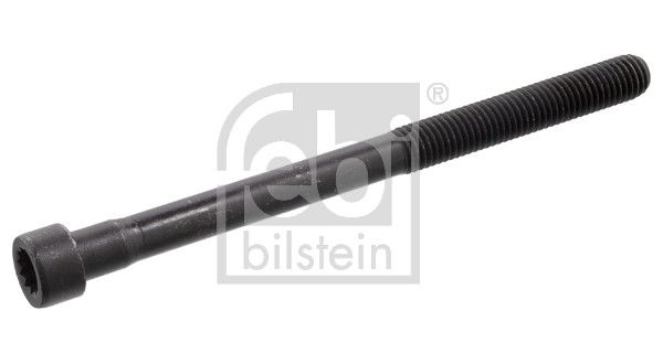 Гвинти голівки циліндра FEBI BILSTEIN 10179 - zapix