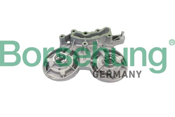 Вкладиші розподільного вала BORSEHUNG B11308 - zapix