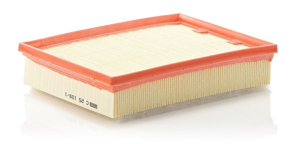 Повітряний фільтр MANN-FILTER C251091 - zapix