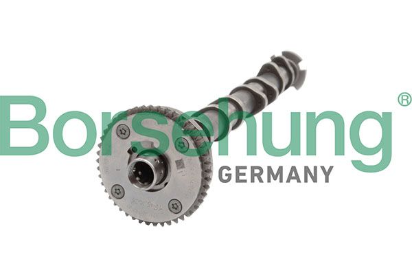 Розподільний вал BORSEHUNG B11319 - zapix