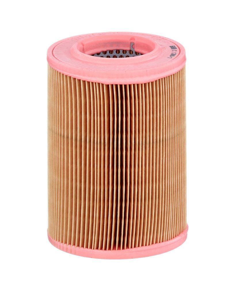 Повітряний фільтр MANN-FILTER C13801 - zapix