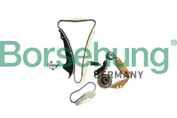 Комплект ланцюгів привода BORSEHUNG B19254 - zapix