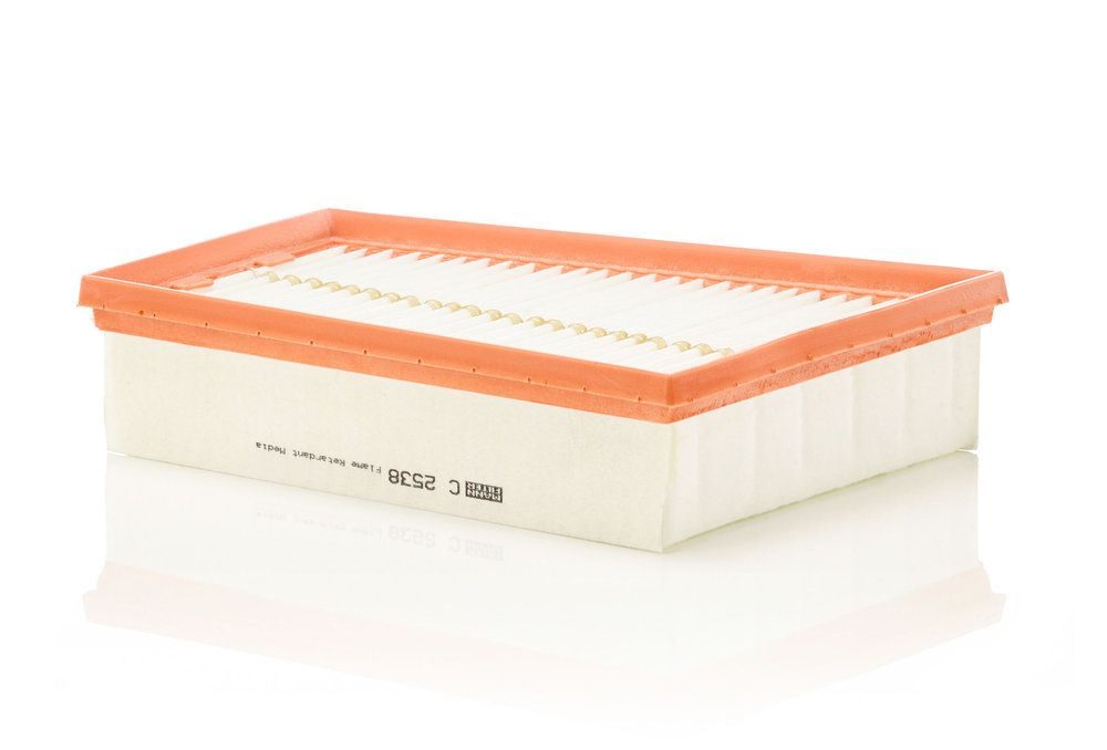 Повітряний фільтр MANN-FILTER C2538 - zapix