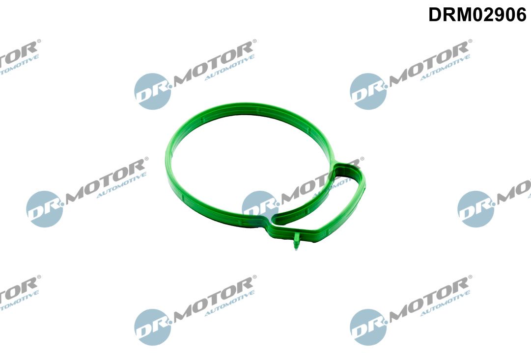 Прокладка дросельної заслонки DR.MOTOR AUTOMOTIVE DRM02906 - zapix