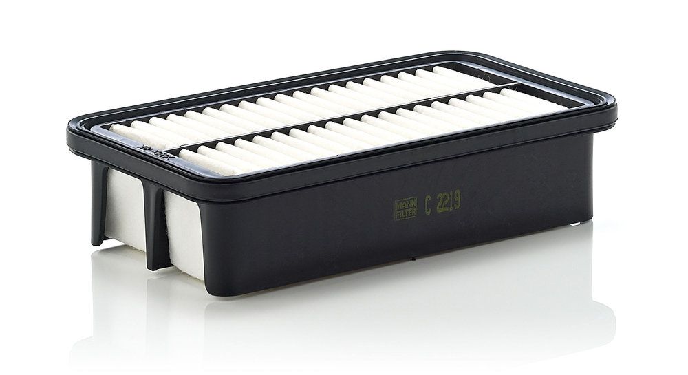 Повітряний фільтр MANN-FILTER C2219 - zapix