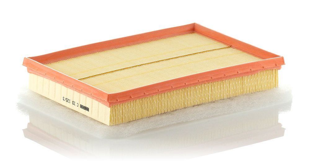 Повітряний фільтр MANN-FILTER C301253 - zapix