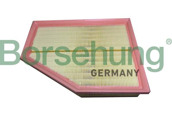 Повітряний фільтр BORSEHUNG B12450 - zapix