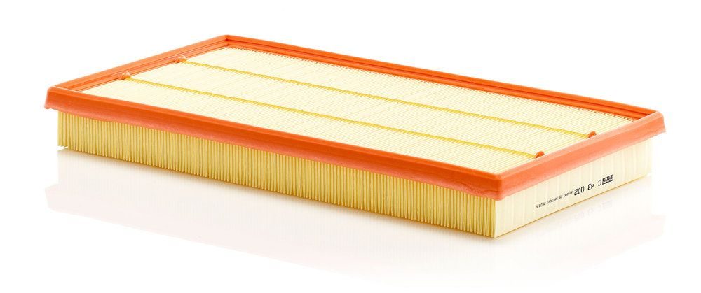 Повітряний фільтр MANN-FILTER C43002 - zapix