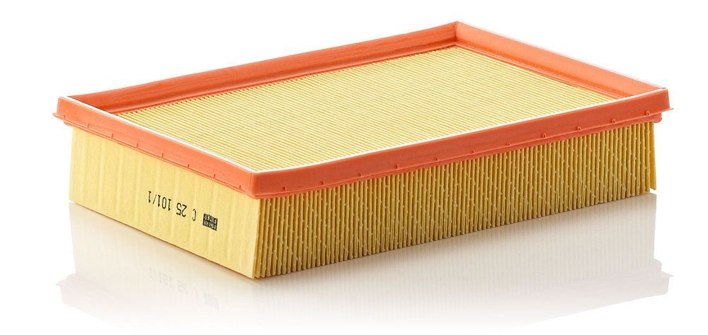 Повітряний фільтр MANN-FILTER C251011 - zapix