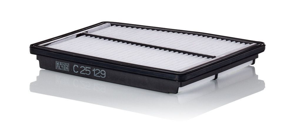 Повітряний фільтр MANN-FILTER C25129 - zapix