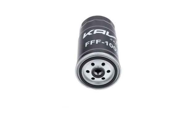 Паливний фільтр KAVO PARTS FFF10038 - zapix