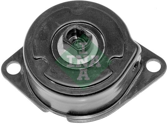 Натяжний пристрій ременя поліклінового SCHAEFFLER INA 534018810 - zapix