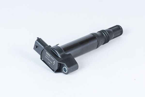 Котушка запалювання BORGWARNER (BERU) ZS574 - zapix