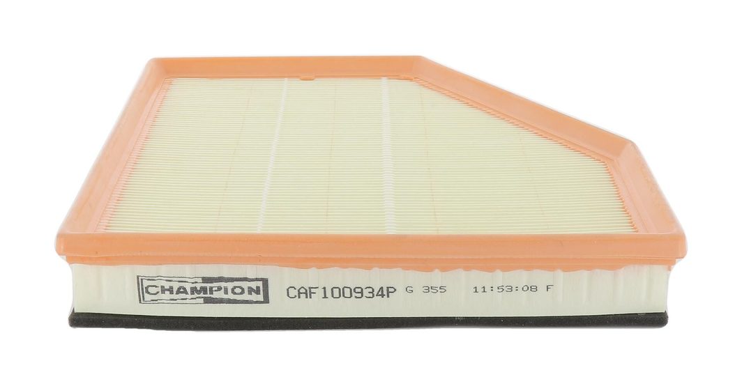 Повітряний фільтр CHAMPION CAF100934P
