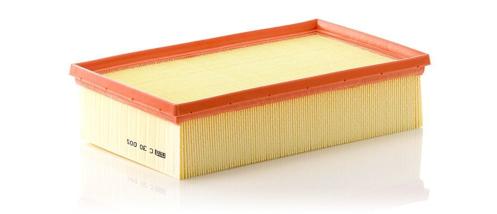 Повітряний фільтр MANN-FILTER C30005 - zapix