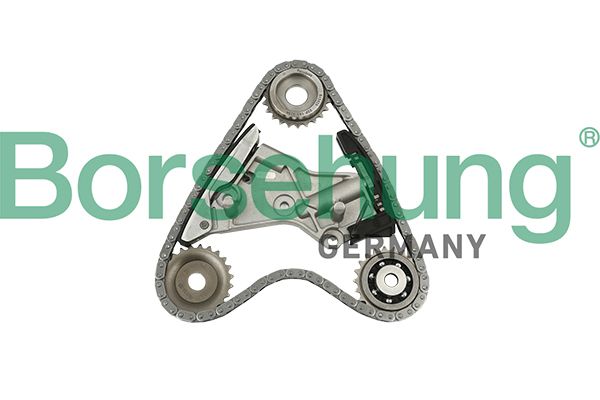 Приводний ланцюг оливного насоса BORSEHUNG B10201 - zapix