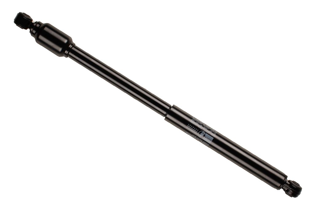 Амортизатор рульового керування BILSTEIN 18002461 - zapix