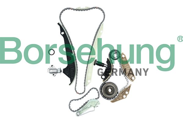 Комплект ланцюгів привода BORSEHUNG B19209 - zapix