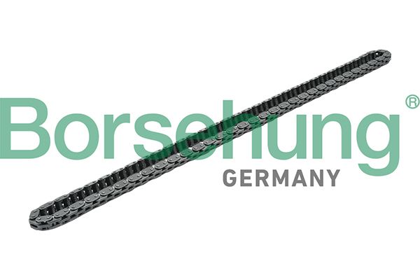 Ланцюг привода BORSEHUNG B16301 - zapix