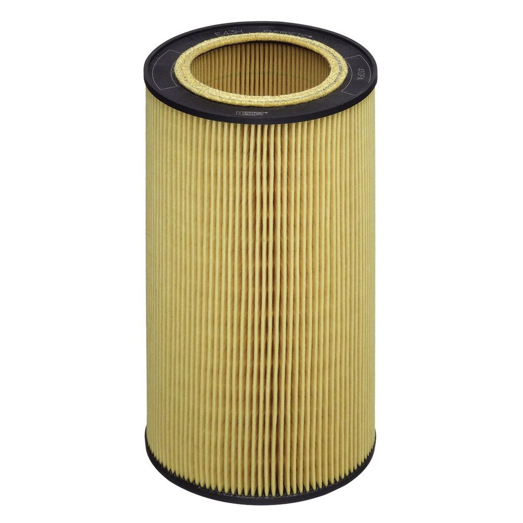 Оливний фільтр HENGST FILTER E43HD213 - zapix