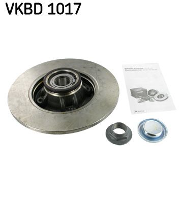 Гальмівний диск SKF VKBD1017 - zapix