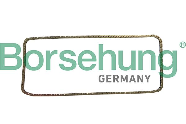 Ланцюг привода BORSEHUNG B1C029 - zapix