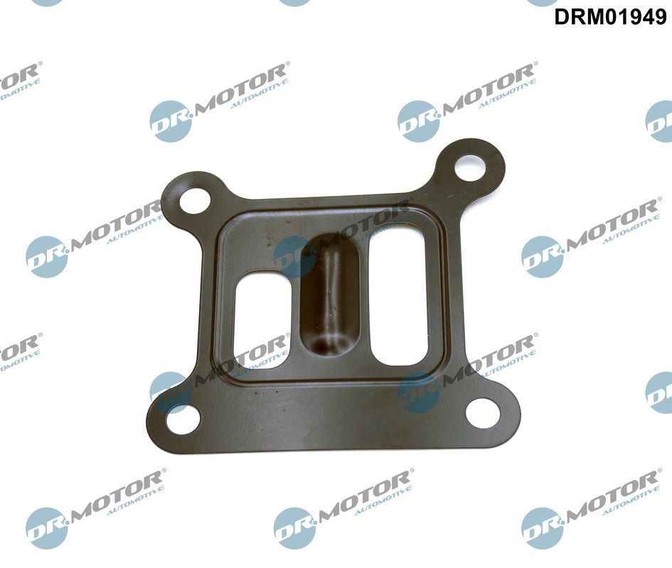 Прокладка помпи DR.MOTOR AUTOMOTIVE DRM01949 - zapix