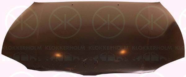 Капот KLOKKERHOLM 0092280 - zapix