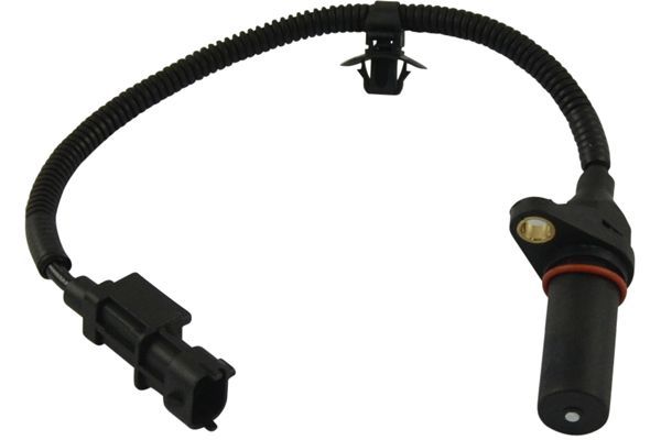 Датчик положення колінчастого валу KAVO PARTS ECR3006 - zapix
