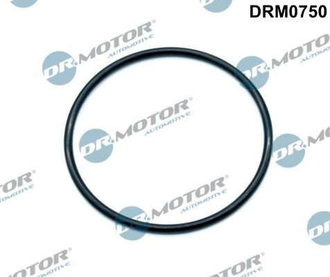 Прокладка дросельної заслонки DR.MOTOR AUTOMOTIVE DRM0750 - zapix
