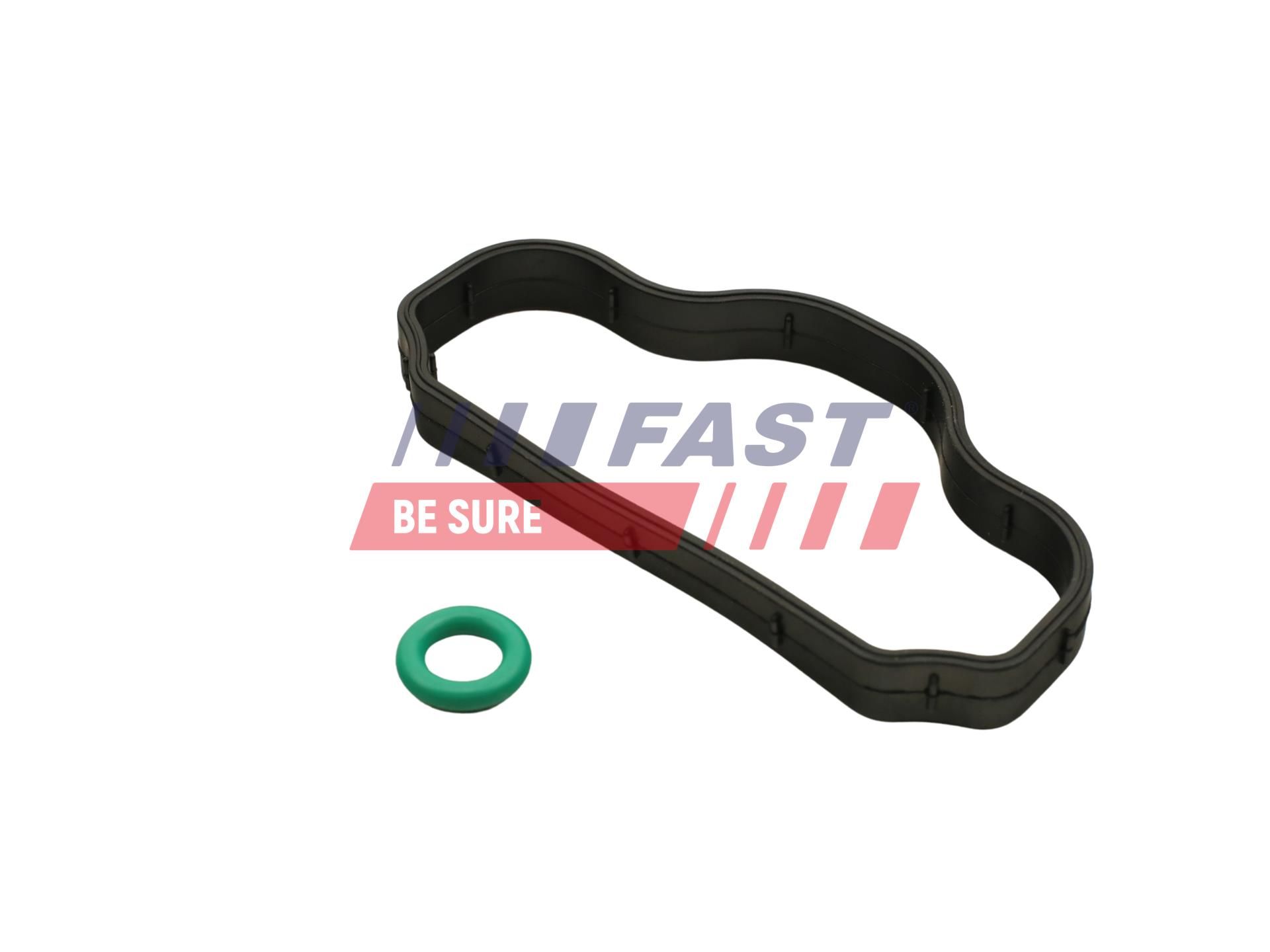 Прокладка болтів клапанної кришки FAST FT48302 - zapix