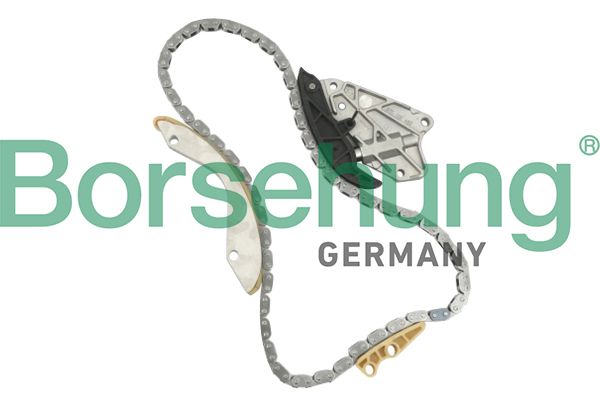 Приводний ланцюг оливного насоса BORSEHUNG B10206 - zapix