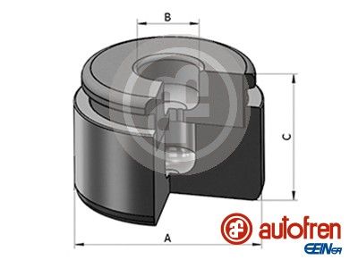 Поршень гальмівного супорта AUTOFREN SEINSA D025565 - zapix