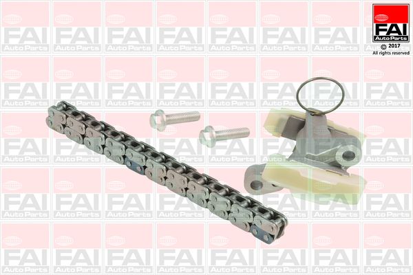 Комплект ланцюгів привода FAI AUTOPARTS TCK262NG - zapix