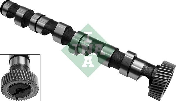 Розподільний вал SCHAEFFLER INA 428015810 - zapix