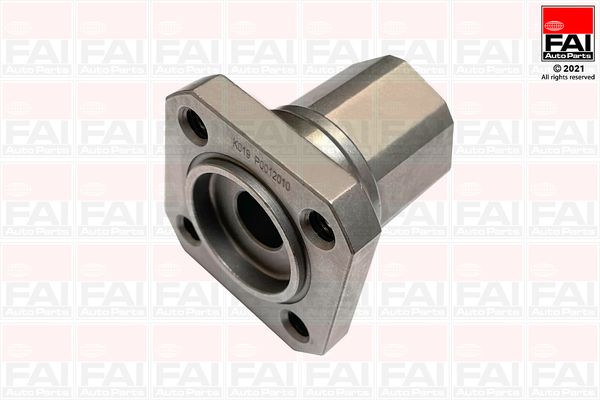 Приводний ланцюг оливного насоса FAI AUTOPARTS OPCK23 - zapix